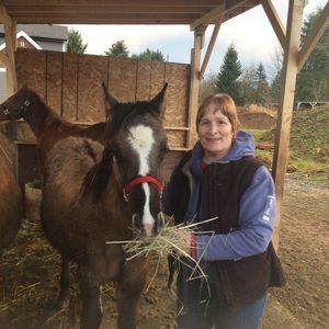 Meet your Posher, Susan
